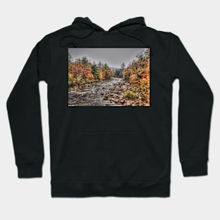 Swift River Autumn Hoodie